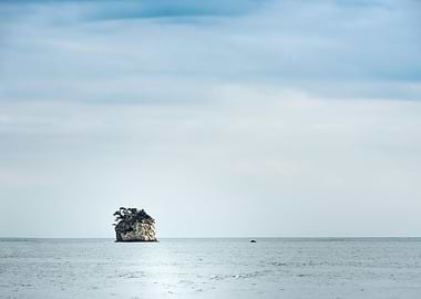 The lonely little island