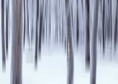 Winter Whispers Yukon