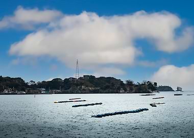 Marine Aquaculture Scaffol