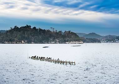 Marine Aquaculture Scaffol