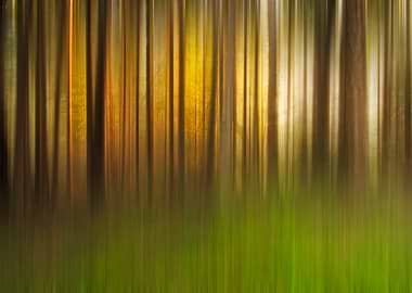 Golden Light Etherea