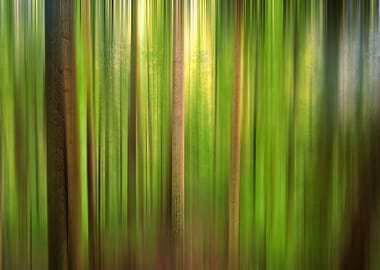 Deep Forest light Ehterea