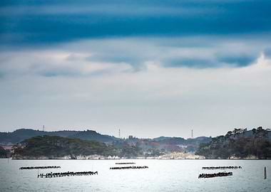 Marine Aquaculture Scaffol