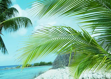 Beach Tranquility Dream 2