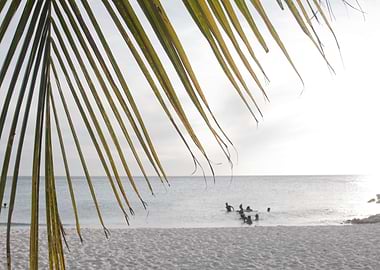 Sunset Ocean Palm Dream 1