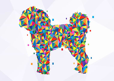 Cavapoo dog wpap