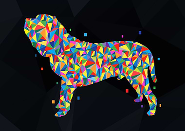 Neapolitan mastiff dog