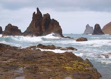 Wild Atlantic in Tenerife