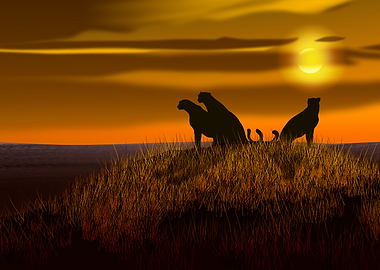 3 Cheetahs at sunset