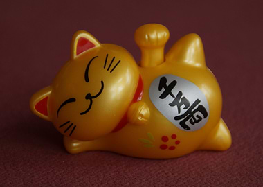 Lucky Cat