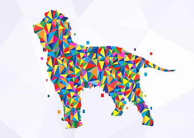 Irish Water Spaniel Dog