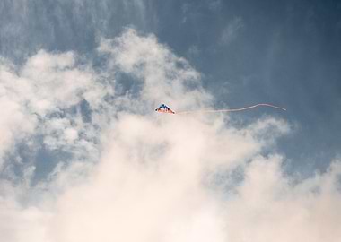Kite flying in the sky