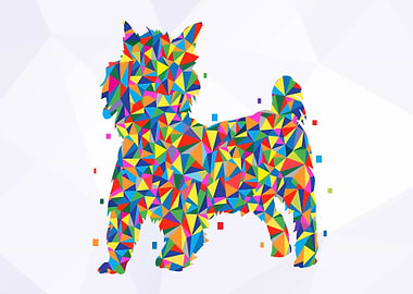 Yorkshire Terrier Dog