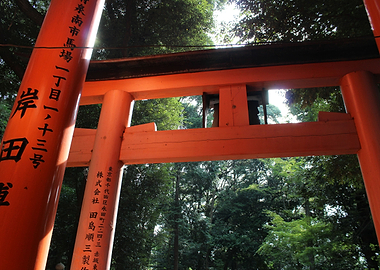 Torii