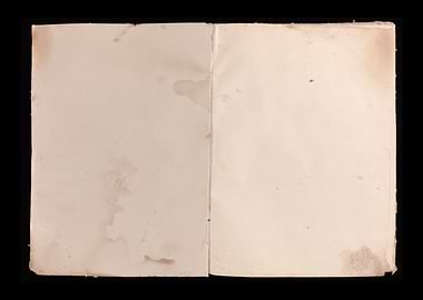 Book old open worn blank t