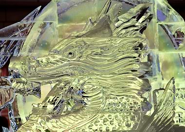 Dragon Art in Ice