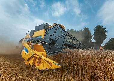 Yellow combine harvester
