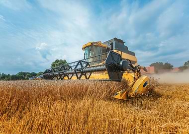 Yellow combine harvester