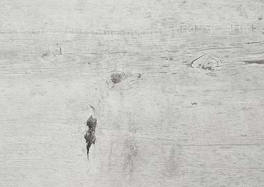 Wood surface texture irreg