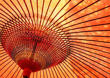 Japanese parasol