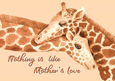 Giraffe Giraffes Africa