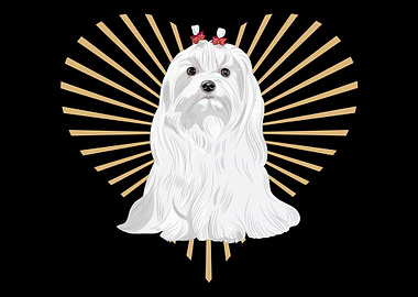 Maltese Heart Maltese Dog