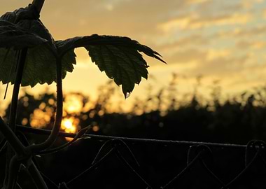 When Everything Restarts