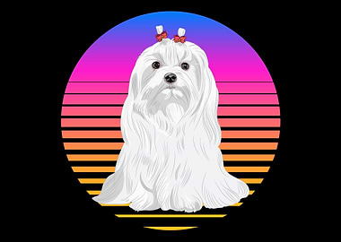 Maltese Retro Sunset Malte