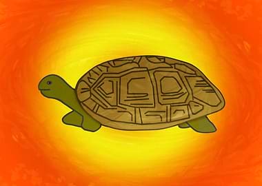 Tortoise