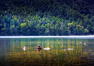 Lake District Landscape