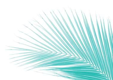 Minimal Palm Leaf 4