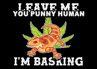 Bearded Dragon Reptile