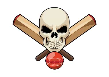 Skull Cricket Cricket bat