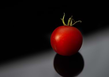 only a Tomato