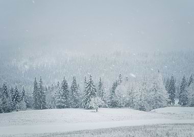 Winter snowfall landscape