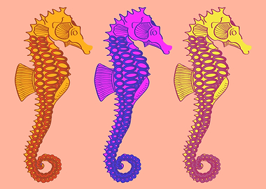 Colorful Seahorses Fish