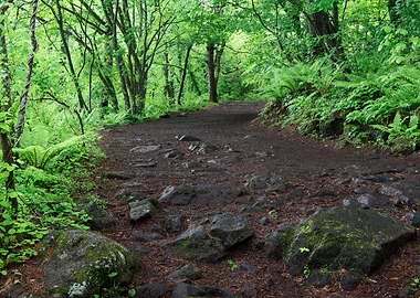 Goshikinuma Park Japan