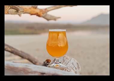 Beer Drinker Drinking