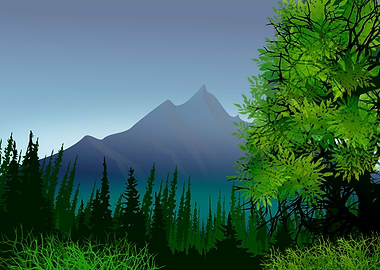 Illustrated Wilderness