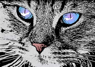Cute Cat blue Eyes WallArt