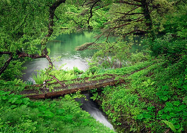 Goshikinuma Park Japan