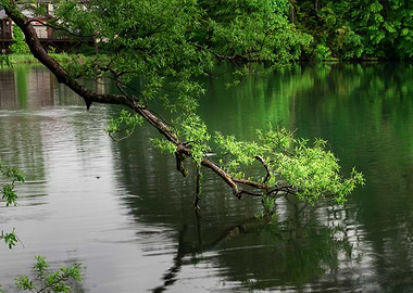 Goshikinuma Park Japan