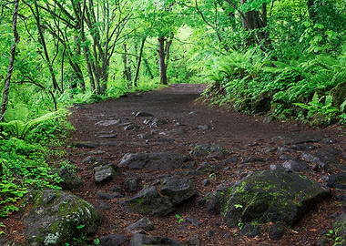 Goshikinuma Park Japan