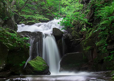 Spring green Oirase Creek