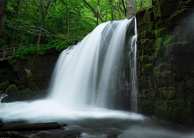Spring Green Choshi Falls