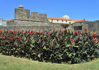 Castle Foz de Douro