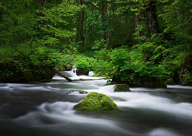 Spring green Oirase Creek
