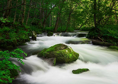 Spring green Oirase Creek