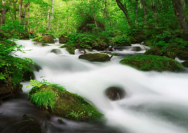 Spring green Oirase Creek