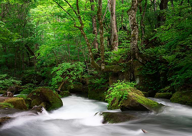 Spring green Oirase Creek